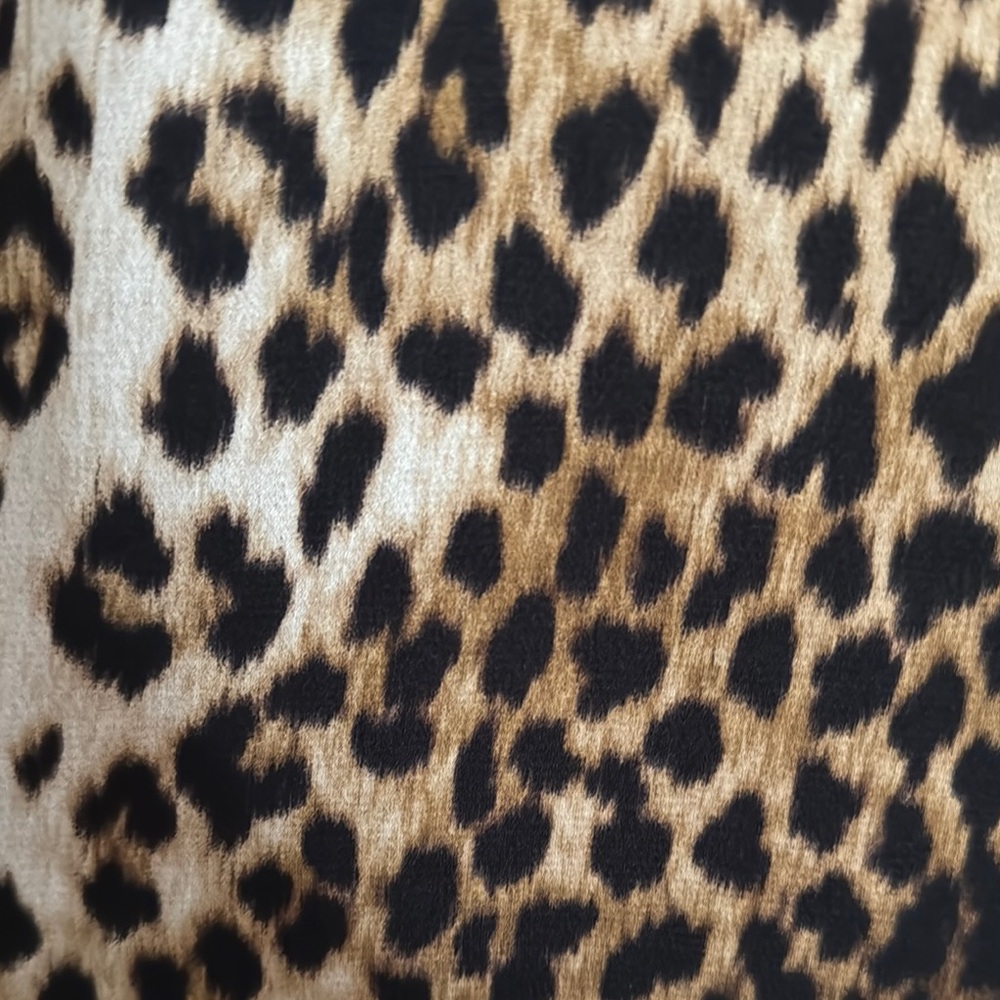 Express Leopard Print Dress - Picture 3 of 5